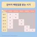 학익동물병원 이미지