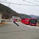 (주)안나여행사