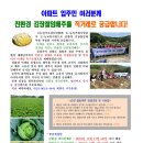 친환경 김장절임배추를 직거래로 공급합니다! 이미지