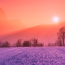 차부약국 이미지