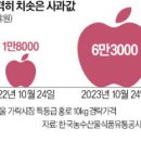 여기가그사과 이미지