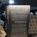 장 미디어 | 경주 첨성대 미디어아트 꼭 봐야 하는 야경 관람시간 및 후기