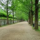 베스트원의원 이미지