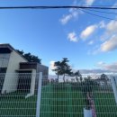 코기절미 이미지