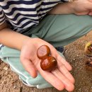 소노카페 오토캠핑장 이미지