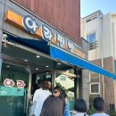 한라산쑥찐빵 | [제주]아라찐빵, 한라산쑥찐빵 후기