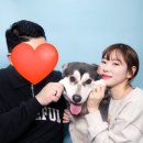 견생멍컷 이미지