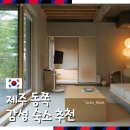 스테이대화 | 제주 감성 숙소 추천 제주도 동쪽 독채 펜션 단심스테이 조천 후기