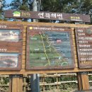 연곡해변 입구 Daum카페