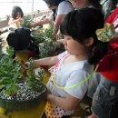 민솔농장 이미지