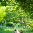 아이태권도 이미지