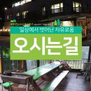 계룡산등산로계곡