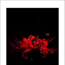 풍천사슴농장 | 2004년 가을 선운사 기행