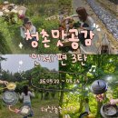 남춘천역맞이방커피점 | 대산농촌재단 : 2026 청촌맛공감 '인제' 2박3일 혼자 다녀온 후기 3탄