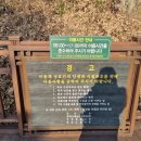 용마루길(데크끝) 이미지