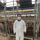 아들축산 이미지