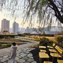 하늘정원작은도서관 | 부산시청 하늘정원 연산동 아이랑 가볼만한곳