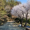 내곡동452 이미지