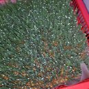 한울타리농장 이미지