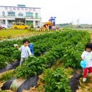 엘림어린이집 이미지