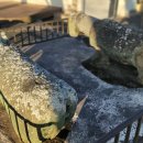 석마경로당 이미지