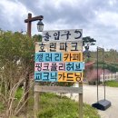 핑크파크 | 강릉 여행 핑크뮬리 명소 호린파크 실제후기