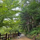 속초여행 후기 고성 양양 필수코스 맛집 가볼만한 곳 수제 맥주 피자