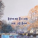 인생의 선물 (동산에 피는 꽃이 그리도 고울 줄이야) 양희은 달콤한 노래와함께 이미지