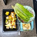 테라피트 | [운동일기] 여전히 링피트를 하는중입니다 + 하루 2100칼로리 뿌시기