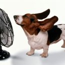 24시 핸즈동물의료센터 이미지