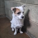 군산시-01257 이미지