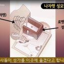 로레토(Loreto) 네이버블로그