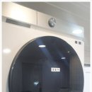 스테이 루나 이미지