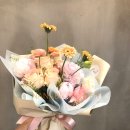 사파동294 이미지