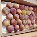 김상은농장 이미지