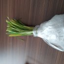 고둔치꼬투리님 이미지