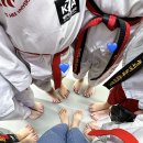 원일태권도장 이미지