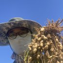 다연농장 이미지