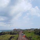 숨비기낭 이미지