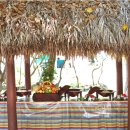 씨 아일랜드 이미지