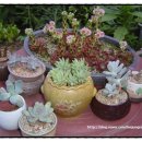 옥계농장 이미지