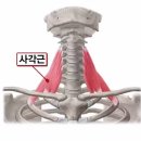 온아에스테틱 - 수원시 영통구 법조로 25 | 온아에스테틱