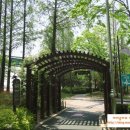 양재천 연인의 거리 이미지