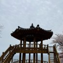 봉황산 입구 | [삼척 여행] 삼척 벚꽃 명소 봉황산 벚꽃구경 후기 (주차 팁)