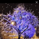 월곡마트 이미지