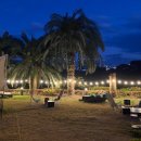 팜트리 빌리지 이미지