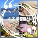 가진활어회센터 | 속초 동명동 맛집 속초 동명항 회센터 포장 78호 강민호 후광물산❤️