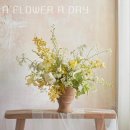 어플라워어데이 | 서울 꽃집 추천 A FLOWER A DAY 업체 정보 후기
