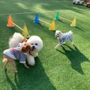 미리내 하우스 펜션 이미지