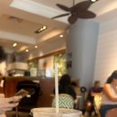 아일랜드 앤 코 이미지